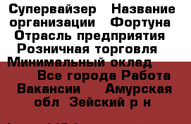 Супервайзер › Название организации ­ Фортуна › Отрасль предприятия ­ Розничная торговля › Минимальный оклад ­ 19 000 - Все города Работа » Вакансии   . Амурская обл.,Зейский р-н